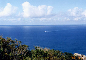 Fitzroy Island