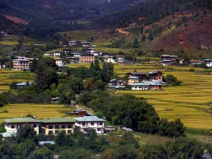 Bhutan Airlines Flight 701