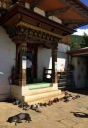 Chimi Lhakhang