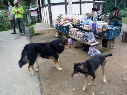 Hongtsho Checkpost