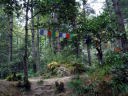 Taktsang Monastery