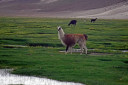 Potosí to Uyuni