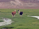 Potosí to Uyuni