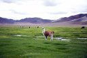 Potosí to Uyuni