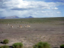 Potosí to Uyuni