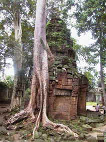 Ta Prohm