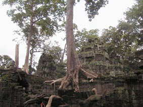 Ta Prohm