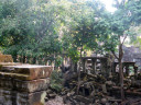 Beng Mealea