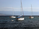 Boat Taxi - Jelsa to Bol, Brač Island