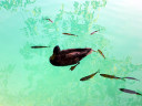 Plitvice Lakes National Park