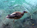 Plitvice Lakes National Park