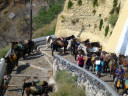 Fira