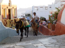 Oia