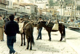 Hydra Island