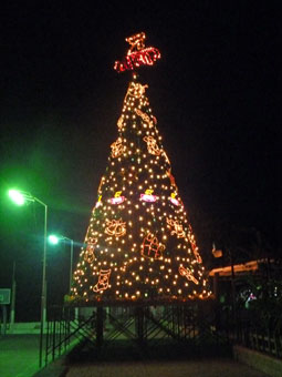 Parque Central, Flores