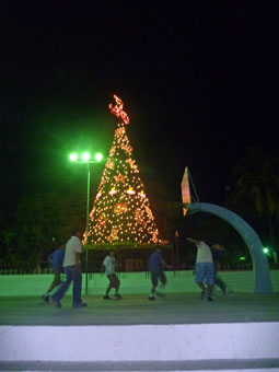 Parque Central, Flores