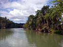 Loboc River Cruise