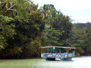 Loboc River Cruise