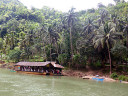 Loboc River Cruise