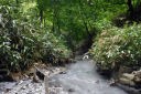 Oyunuma River Natural Footbath