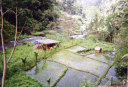 White water rafting on Telaga Waja River