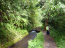 Tiu Kelep Waterfall