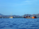 Boat tour to Rinca Island