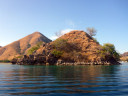 Boat tour to Rinca Island