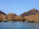 Boat tour to Rinca Island