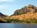 Boat tour to Rinca Island