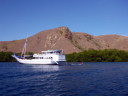 Boat tour to Rinca Island