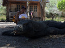 Komodo Island