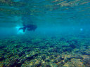 snorkelling in Okinawa Blue Cave