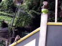 Batu Caves