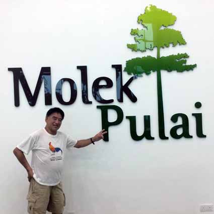 Molek Pulai