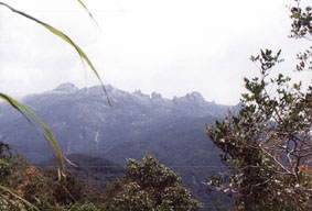 Mt. Kinabalu