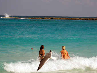 Cancun Beach