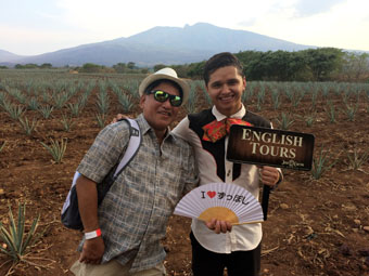 Agave Fields