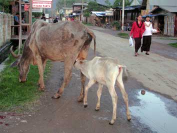 Nyaung Shwe, Shan State of Myanmar