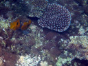 North Reef of Taketomi Island