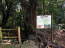 Hakusandomon Cave