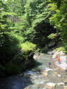 Oku-Iya Niju Kazurabashi (Double Vine Bridges)