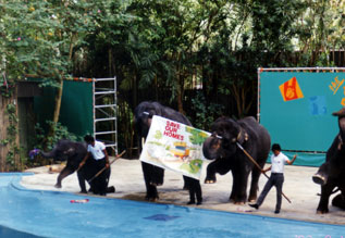 Singapore Zoological Garden