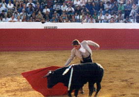 bullfighting