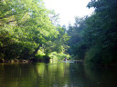 Bamboo Rafting