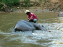 Bamboo Rafting