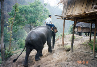 Karen Hilltribe Village