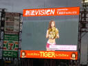 Tohoku Rakuten Golden Eagles vs Hokkaido Nippon Ham Fighters