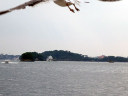 Matsushima Bay Cruise