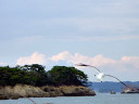 Matsushima Bay Cruise